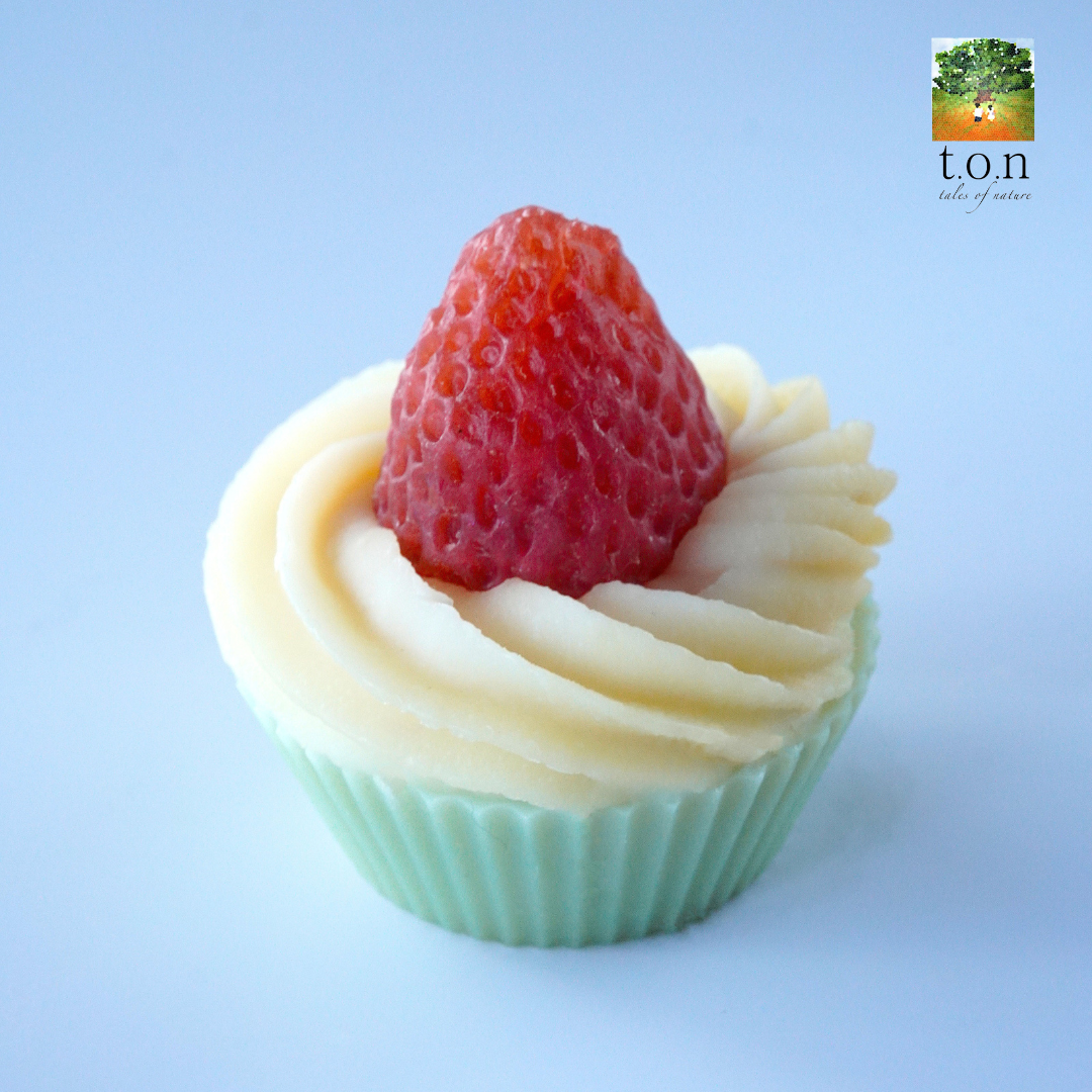 t.o.n Handmade Yummy Looking Cupcake Soap (35g x 1PC)