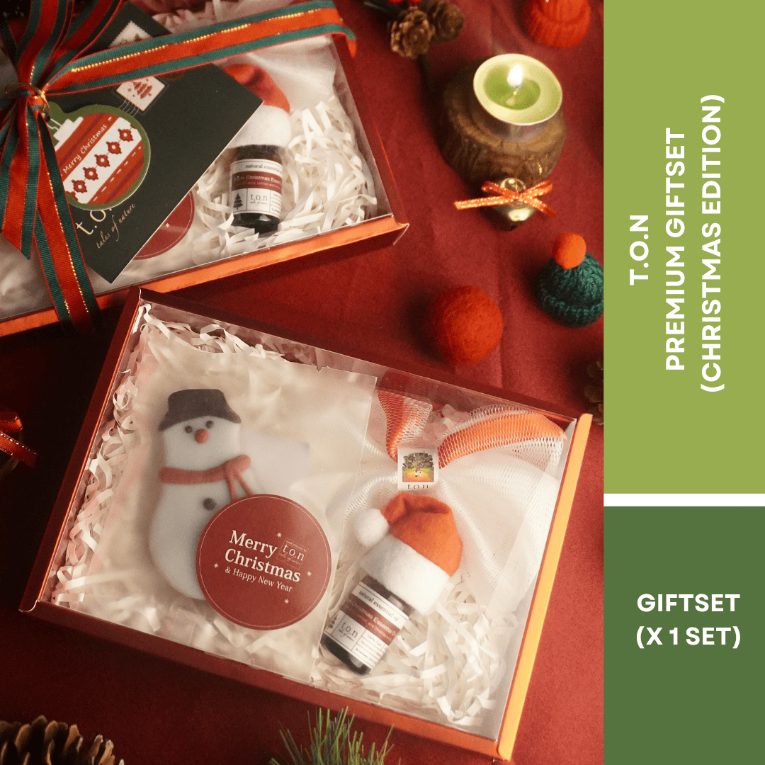 t.o.n Christmas Premium Giftset Windpw Box / Christmas gift/Gifting  ( x 1 SET)