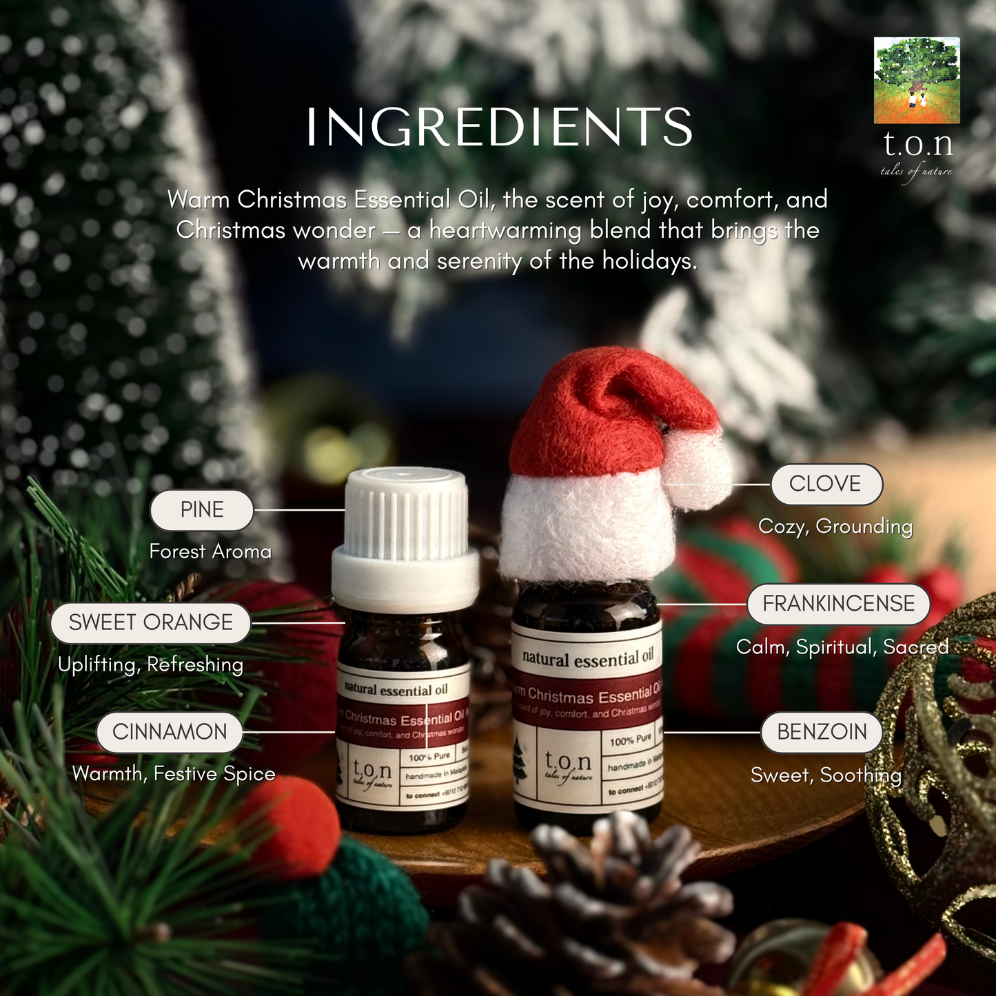 t.o.n Christmas Premium Giftset Windpw Box / Christmas gift/Gifting  ( x 1 SET)