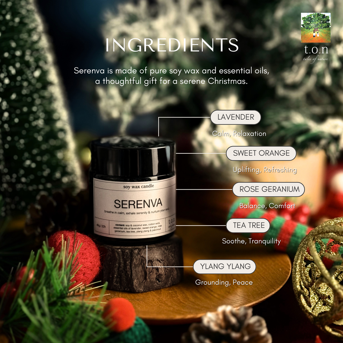 t.o.n Premium Christmas Basket Gift Set (Limited Edition x 1 SET)