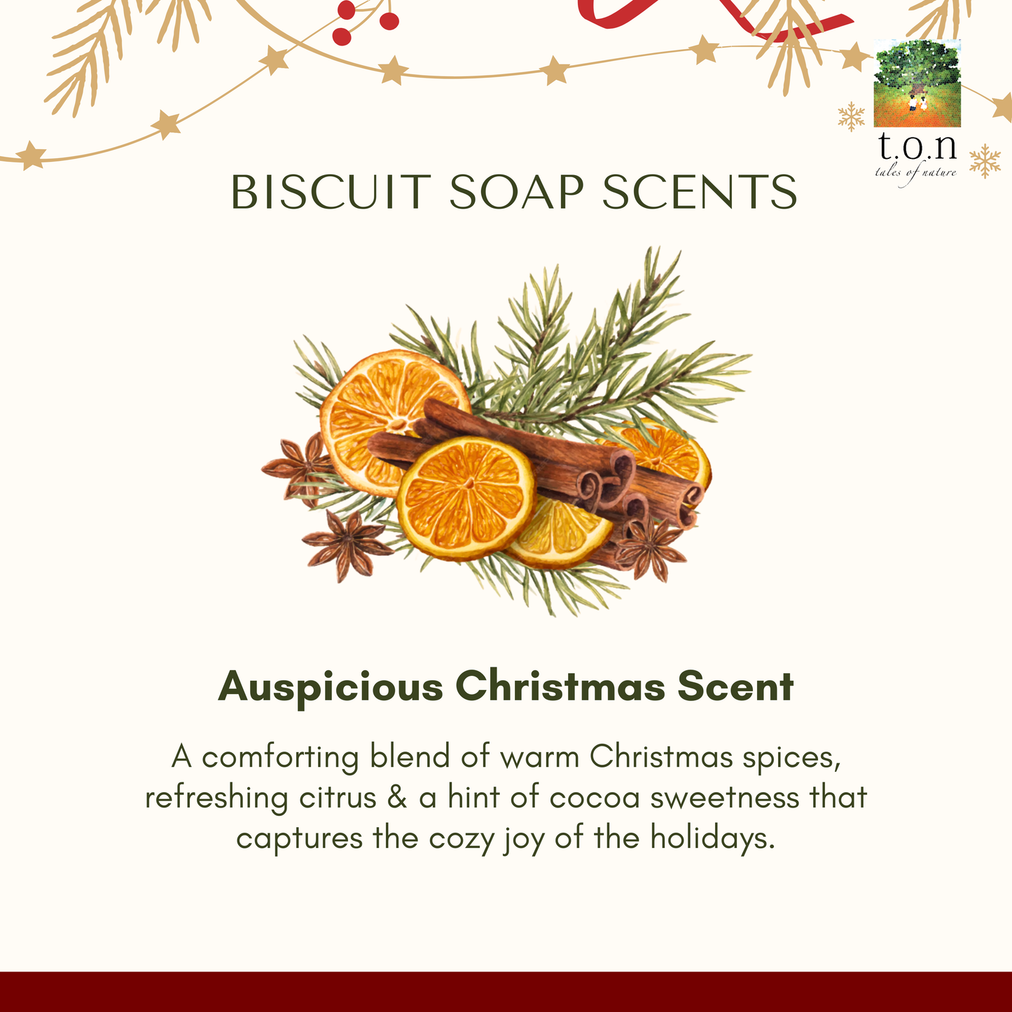 t.o.n Handmade Natural Soap Premium Giftset (Christmas Edition x 1 SET)