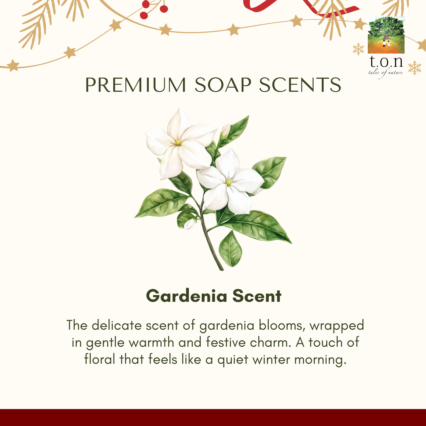 t.o.n Handmade Premium Yummy Soap Christmas Edition (40g x 1pc)