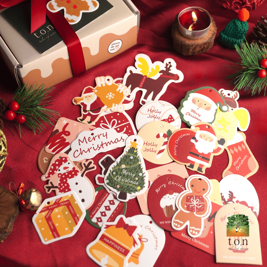 t.o.n Handmade Natural Soap Premium Giftset (Christmas Edition x 1 SET)