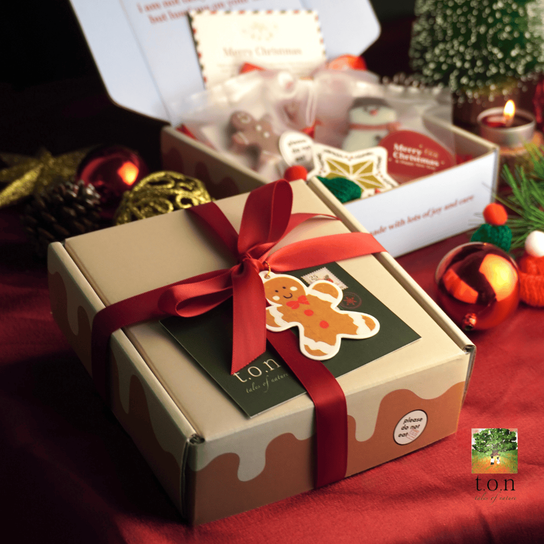 t.o.n Handmade Natural Soap Premium Giftset (Christmas Edition x 1 SET)