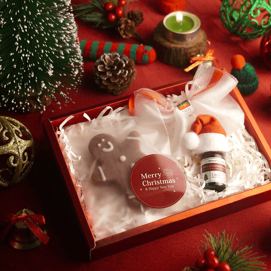 t.o.n Christmas Premium Giftset Windpw Box / Christmas gift/Gifting  ( x 1 SET)