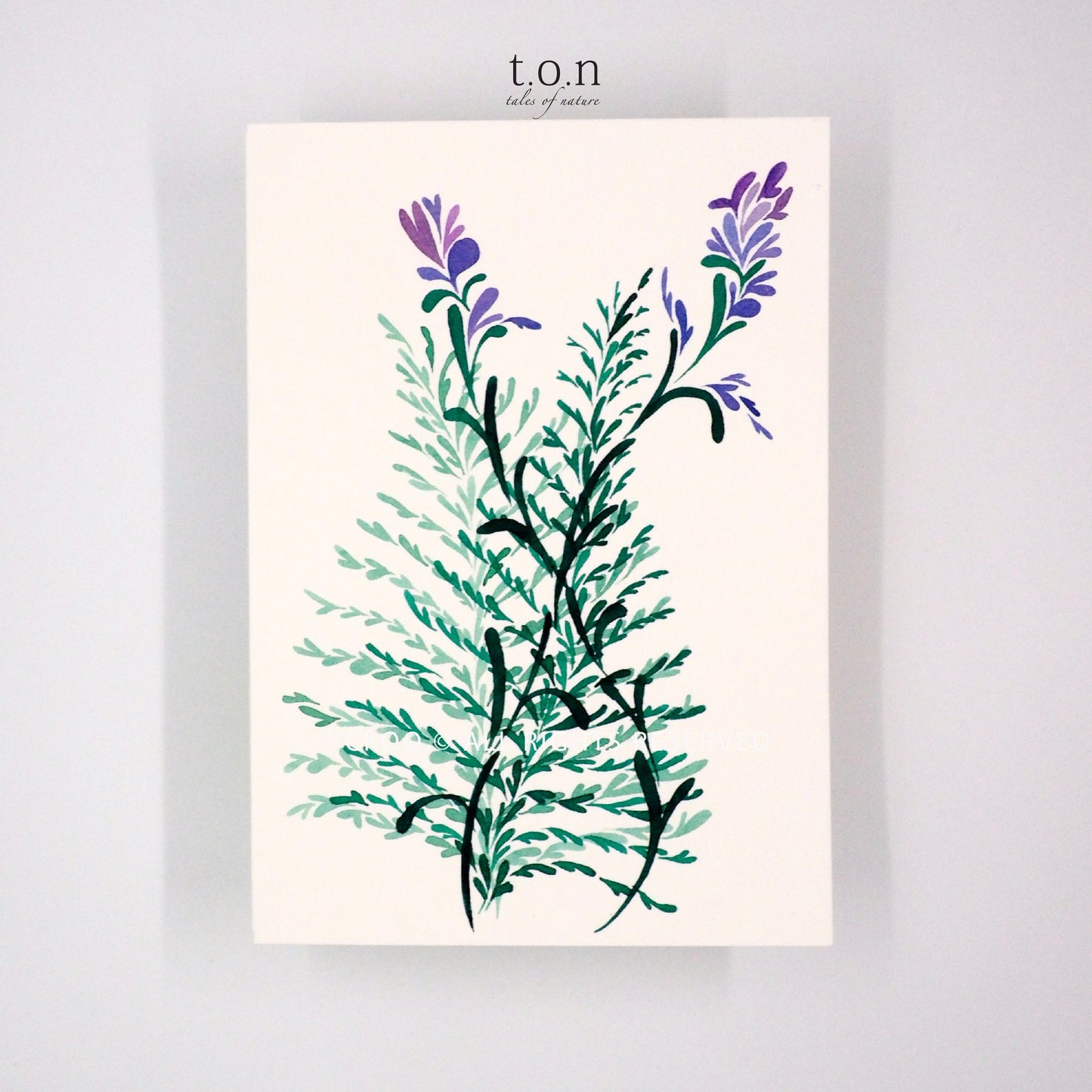 Handpainted Watercolor Cards - Greeting/ Thank you/ Birthday/ Gift Cards/ Handmade Cards - Custom Handwriting 300gsm