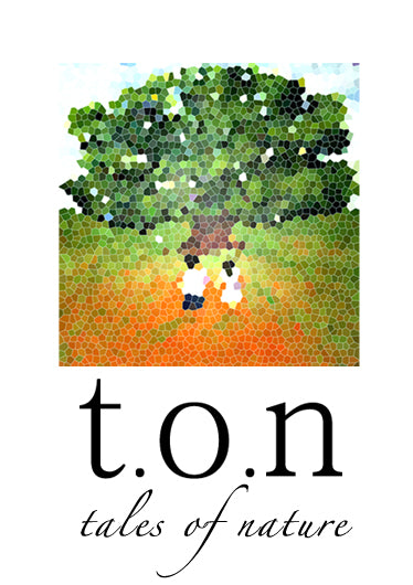 t.o.n